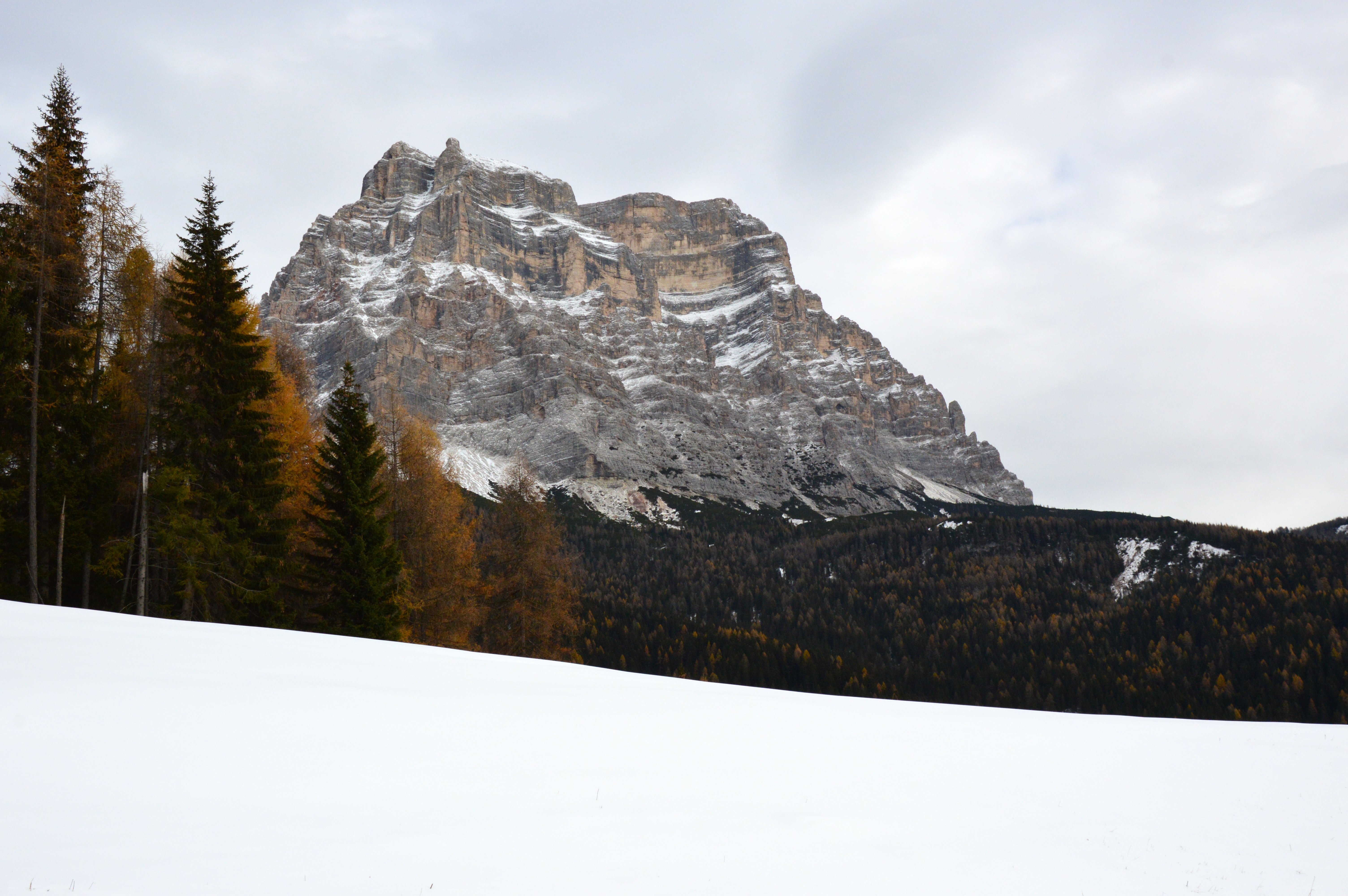 Cosa fare in inverno